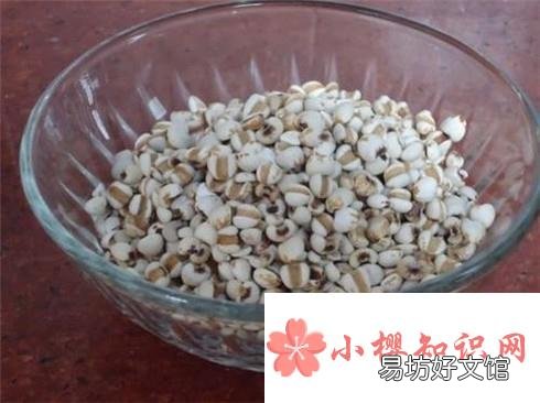 大暑吃什么补品好?