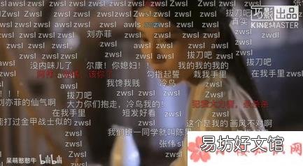弹幕zwsl的意思是什么 zwsl的出处是什么
