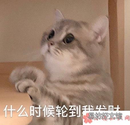 对于过年有什么期待的事情 过年你最期待的是什么