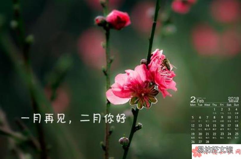 二月早安发朋友圈心情说说 二月早安心语创意文案说说大全2020
