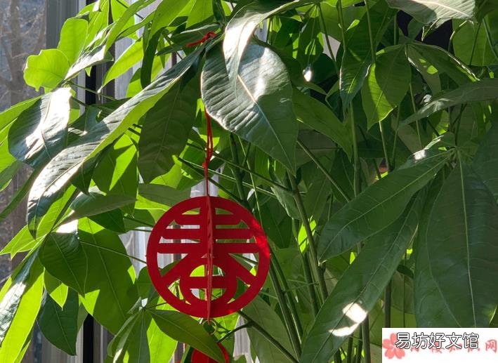 关于会好起来的心情朋友圈 会好起来的正能量句子说说
