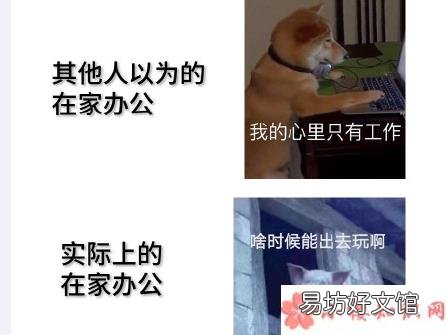 在家办公效率手册是什么 在家办公怎么感觉更累了