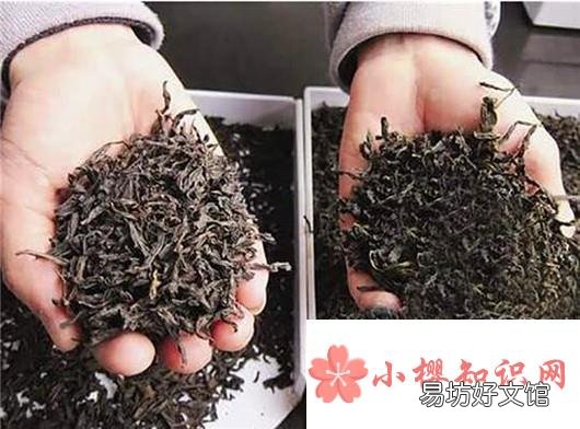 如何辨别茶叶是否含有添加剂？选购健康茶叶指南