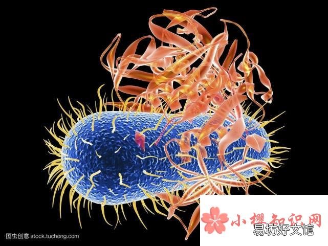 健康预警！哪些食物绝对不能隔夜吃？