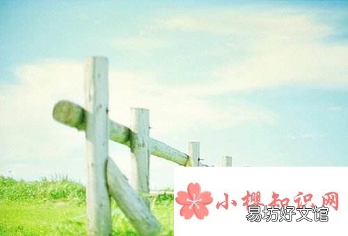 大蛇成蟒，大蟒成蚺，大蚺成蛟，大蛟成龙这种说法吗？