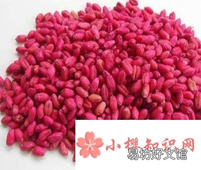 宿舍如何防止老鼠爬床
