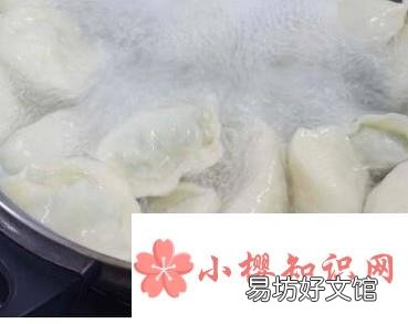 冷冻饺子是冷水下锅煮好?还是热水煮好?