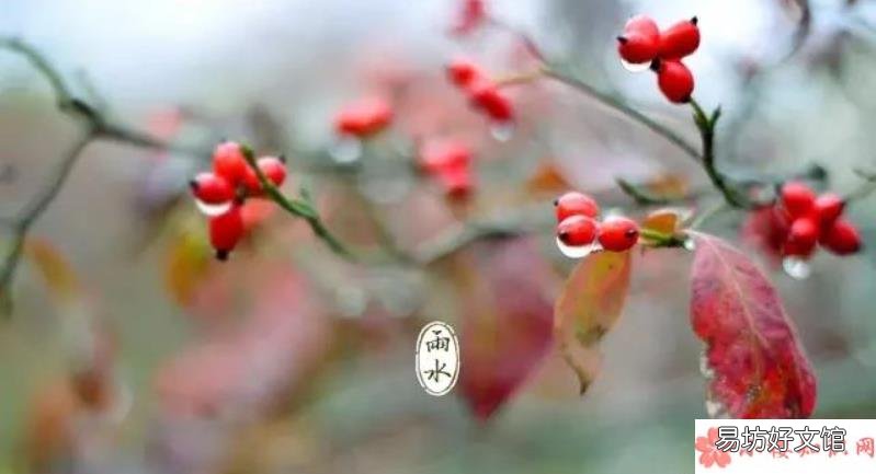 适合雨水节气发朋友圈的句子 2020今日雨水节气朋友圈说说