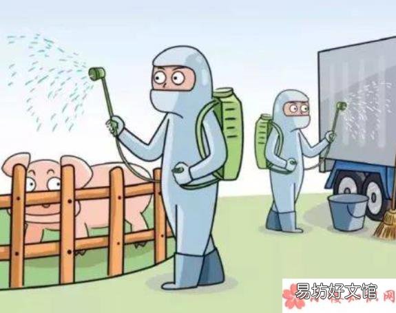 2020疫情终于结束了的心情句子大全 2020关于疫情结束后的经典说说文案