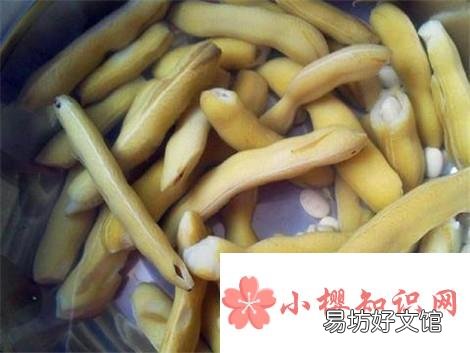 龙爪豆怎样去除毒素