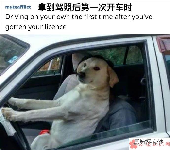 自己没做错却有罪恶感的事情是什么 没做错却很有罪恶感的事