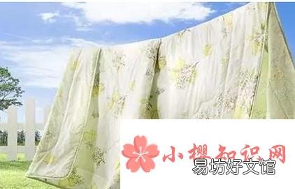 如何除蟑螂?