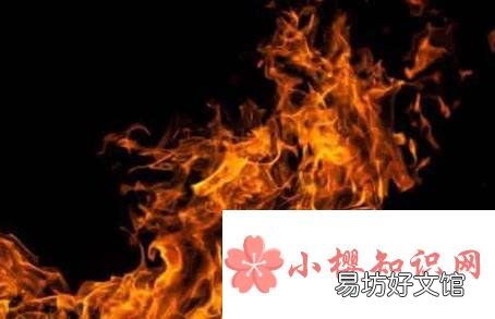减缓全球变暖的措施