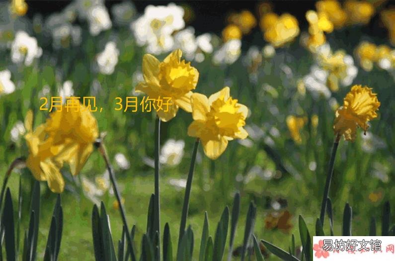 二月再见三月你好朋友圈说说句子 二月再见三月你好朋友圈文案句子大全