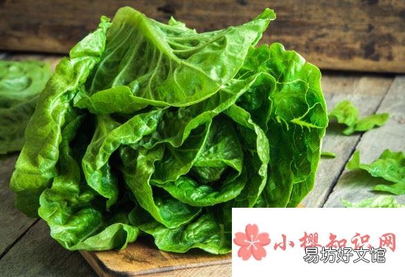 冬天吃白菜有什么好处,吃白菜禁忌有那些?