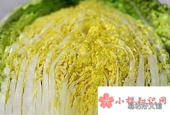 冬天吃白菜有什么好处,吃白菜禁忌有那些?