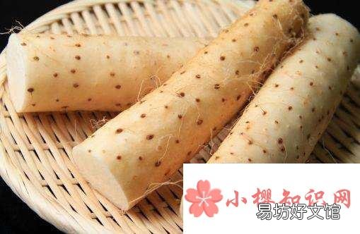 冬季吃山药有什么好处,男能强肾补虚,女能养胃润肺吗?