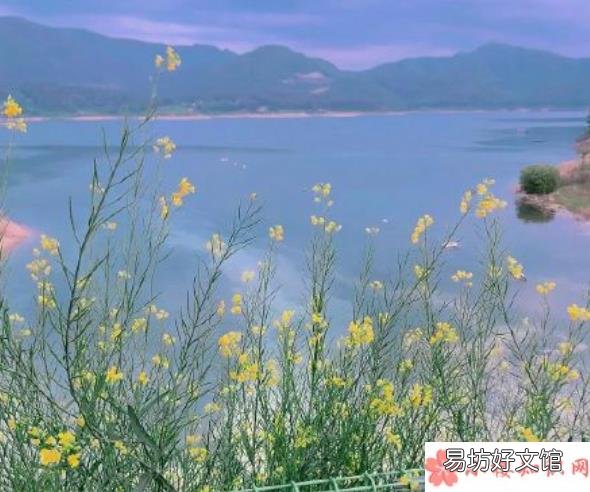 成年人想念一个人的方式有哪些 成年人想念一个人的方式是怎样的