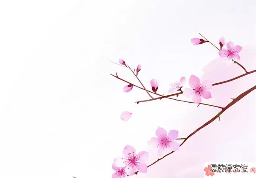 桃花开了经典说说语录大全 桃花开了经典美文句子