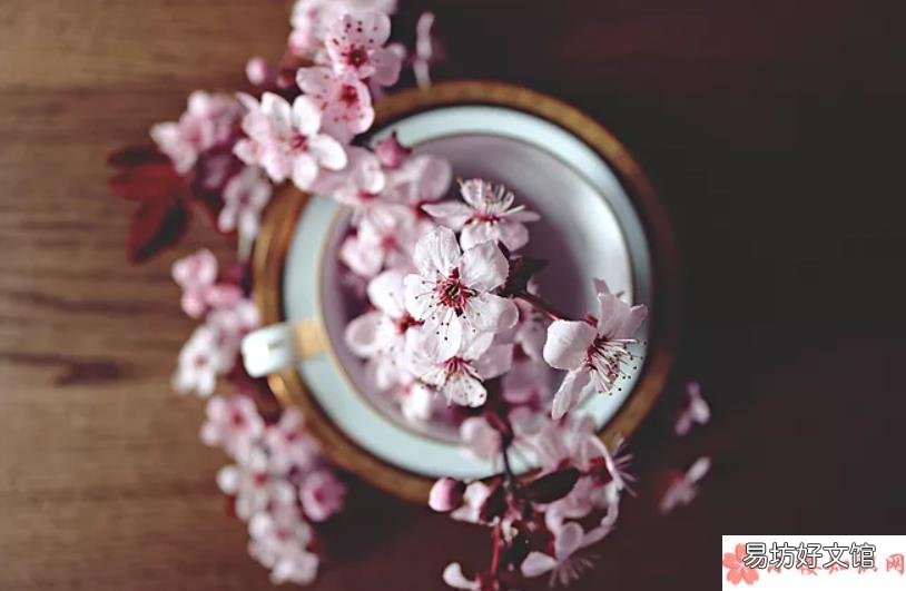 桃花开了经典说说语录大全 桃花开了经典美文句子