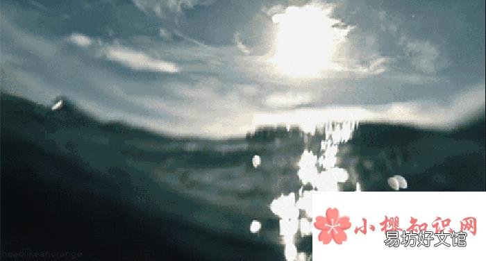 海水为什么不能喝?