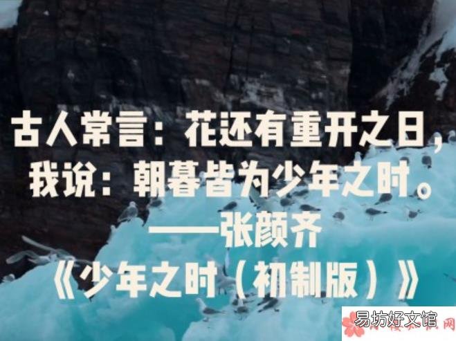 有哪些让你觉得惊艳却不常见的歌词 小众却很惊艳的歌词有哪些