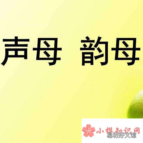 声母和韵母各有多少个啊?