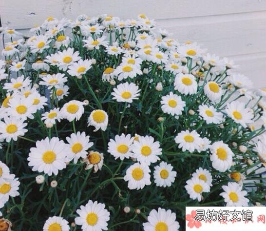 想复工说说心情朋友圈 想复工了的朋友圈句子