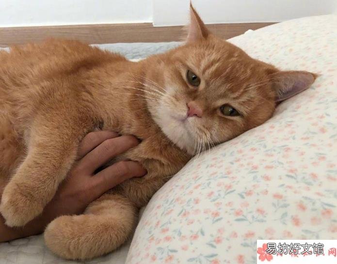 什么样的休息是大家期望的 休息的真正含义是什么
