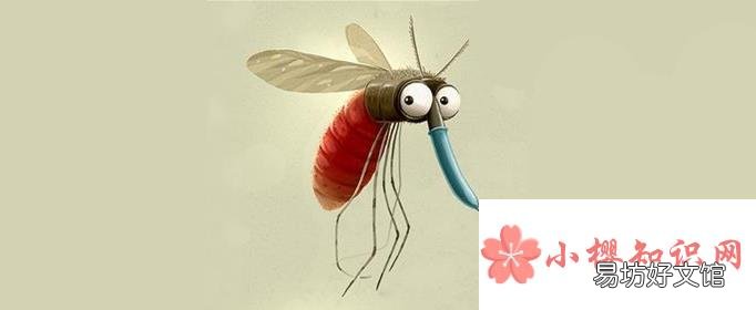 蚊子怕什么?