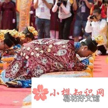 三跪九叩指什么动物肖?
