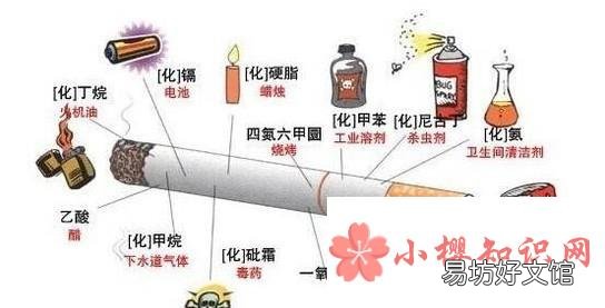 经常抽烟的危害有哪些?