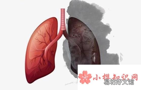 经常抽烟的危害有哪些?