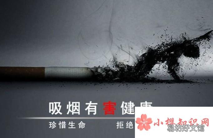 经常抽烟的危害有哪些?