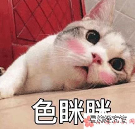 你做过哪些脑洞大开的梦 做过最脑洞大开的梦是什么