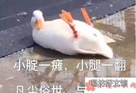 你做过哪些脑洞大开的梦 做过最脑洞大开的梦是什么
