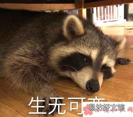 你做过哪些脑洞大开的梦 做过最脑洞大开的梦是什么