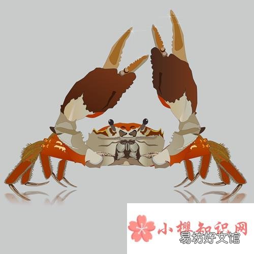 螃蟹有几条腿?