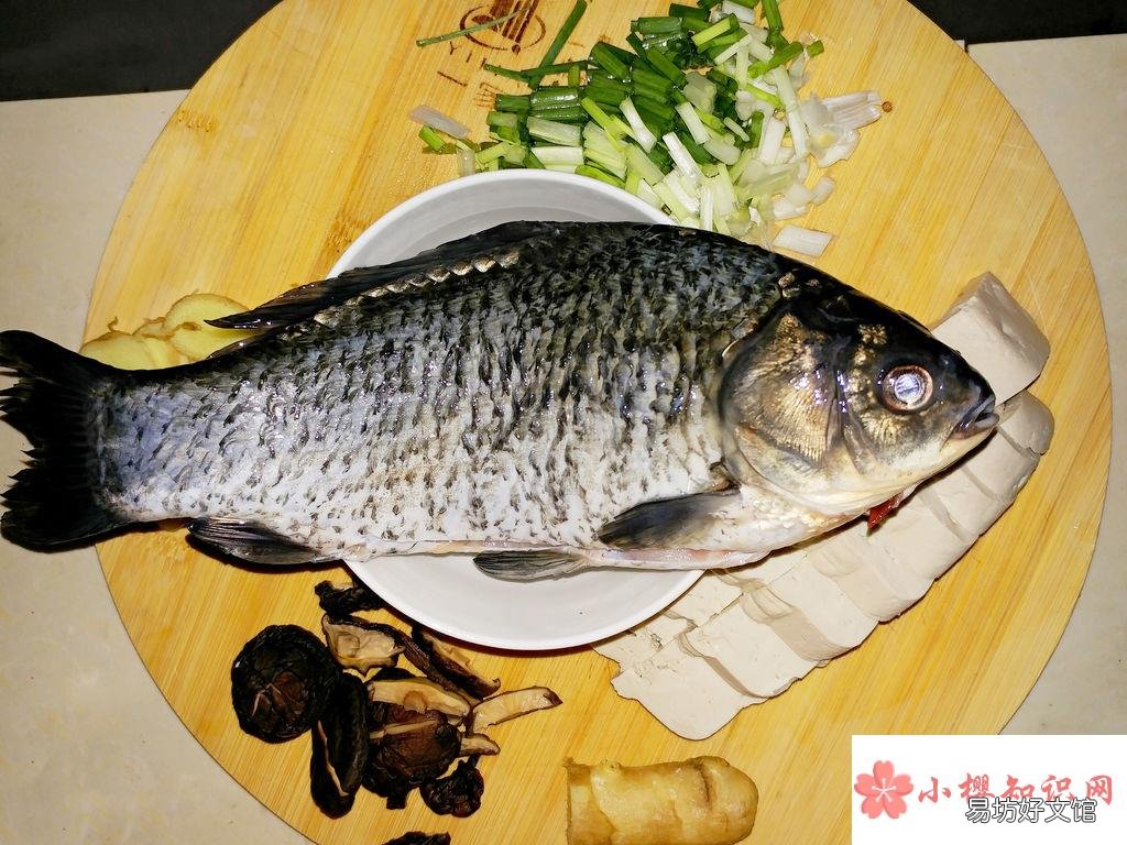 鱼胶是鱼的哪个部位？