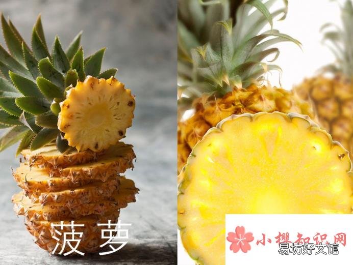 怎么区分凤梨和菠萝