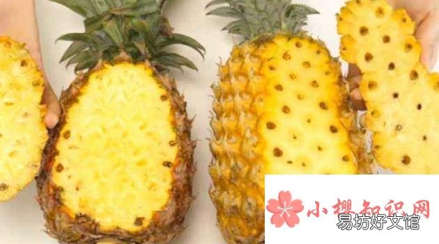怎么区分凤梨和菠萝