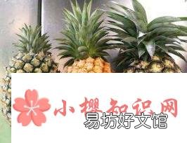 怎么区分凤梨和菠萝