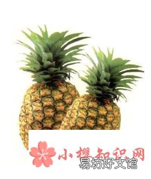 怎么区分凤梨和菠萝