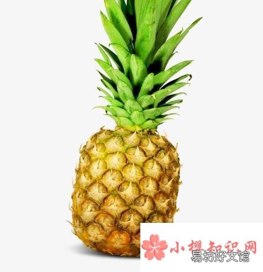 怎么区分凤梨和菠萝
