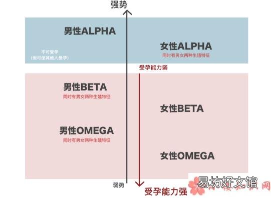 ABO世界观是什么 ABO是什么意思什么梗