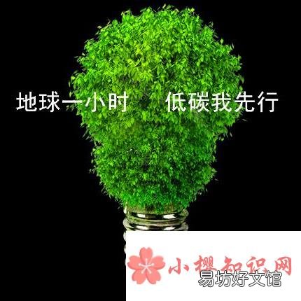 地球一小时是倡导大家如何做公益?