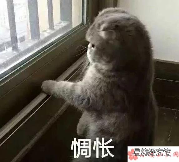 自己和妈妈买菜有什么不同 我妈和我买菜的区别是什么