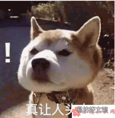 因为口误造成的尴尬瞬间盘点 因为口误造成的尴尬瞬间有哪些