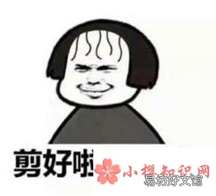 托尼老师是什么梗?