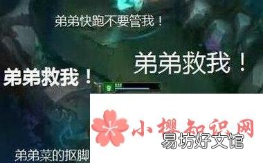 弟弟行为是什么梗?